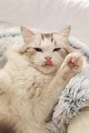 CAMA FLUFFY - Cama Pet de Pelúcia Redonda